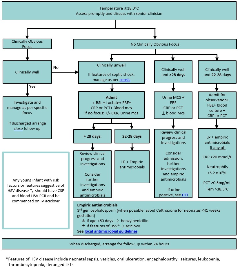 febrile chlid CPG_flowchart1 febrile chlid CPG_flowchart1